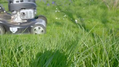 Baba ve oğul bahçede çim biçme makinesinde çalışıyorlar.