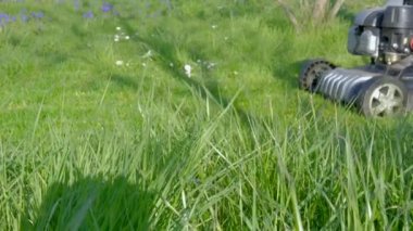 Baba ve oğul bahçede çim biçme makinesinde çalışıyorlar.