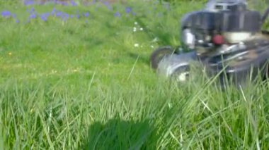 Baba ve oğul bahçede çim biçme makinesinde çalışıyorlar.