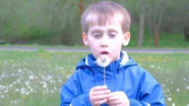 Küçük çocuk bir karahindiba üflüyor.