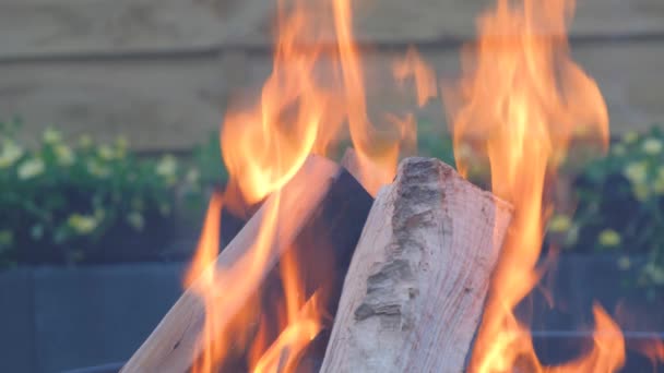 4k Bonfire горить увечері у дворі — стокове відео