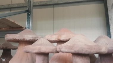 Çamur mantarları - dükkandaki bahçe figürleri