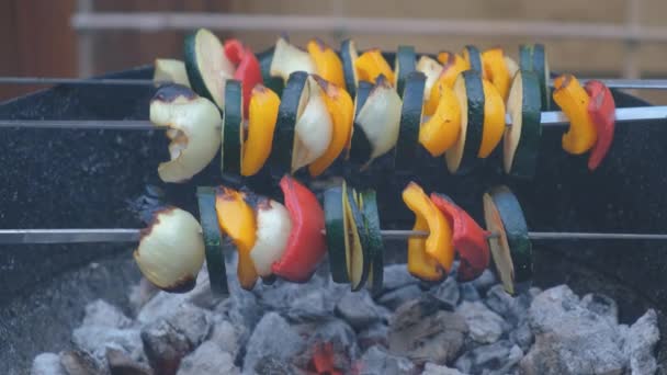 Grill szaszłyki warzywne w patelni grill. Wegańskie jedzenie. Warzywa na grillu. — Wideo stockowe
