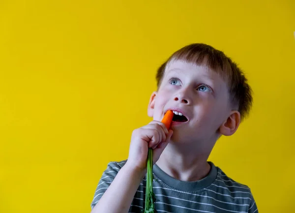 Pojke äter färska morötter på en gul bakgrund — Stockfoto