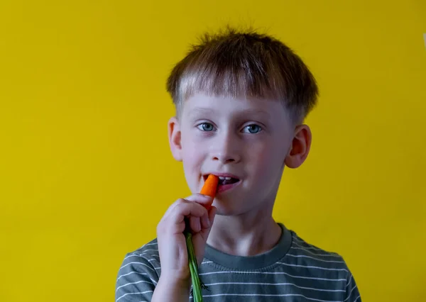 Pojke äter färska morötter på en gul bakgrund — Stockfoto