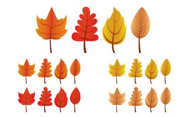 Farklı şekil ve renklerde sonbahar yaprakları..