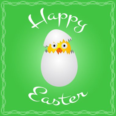 Sevimli küçük tavuk yumurta