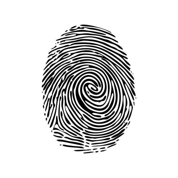 Realistic fingerprint isolated on a white background