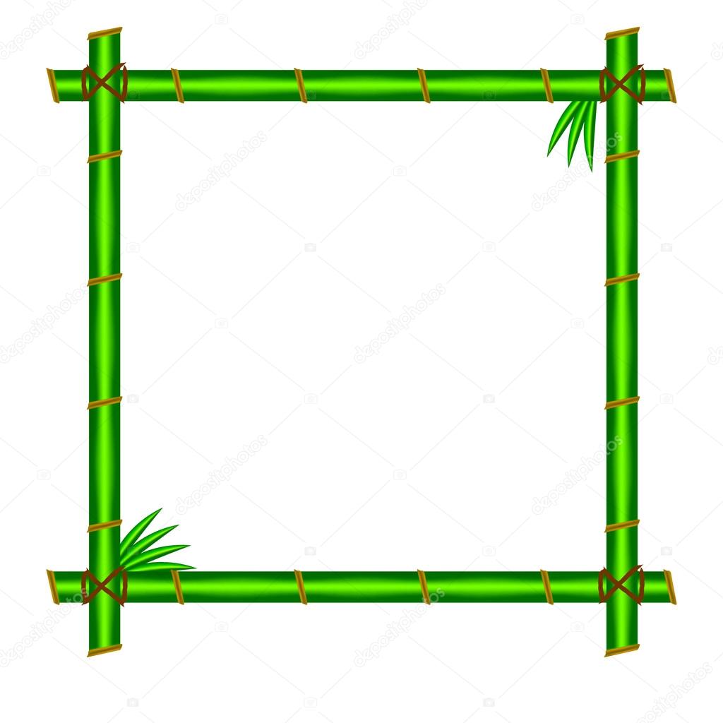 Green bamboo frame
