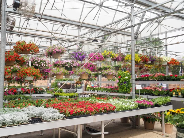 The flowers and plants are in the greenhouse on this spring afternoon.