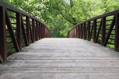 Bu ormanda geniş bir köprüdür. Derenin yukarısında..