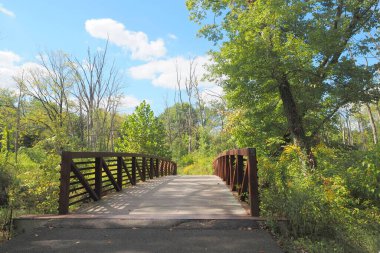 Bir sonbahar öğleden sonrasında yaya köprüsünün üzerinden ormanda yürüyorum..