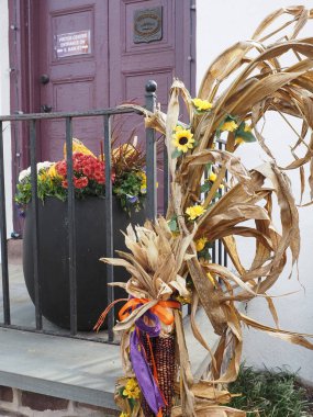 Sonbahar mevsimi geldi. Manzarada bir sürü renk var..