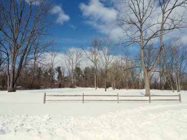 Pensilvanya 'nın güneydoğusunda karla kaplı bir yer..
