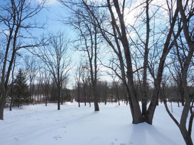 Pensilvanya 'nın güneydoğusunda karla kaplı bir yer..