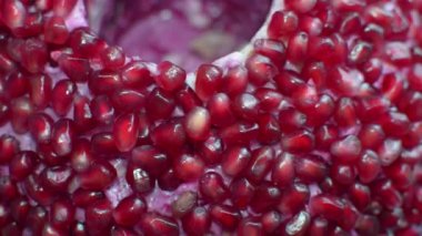 Salata nar taneleri döner