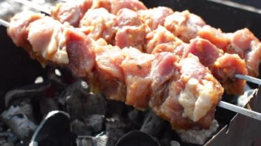 Izgara kızarmış lezzetli kebap