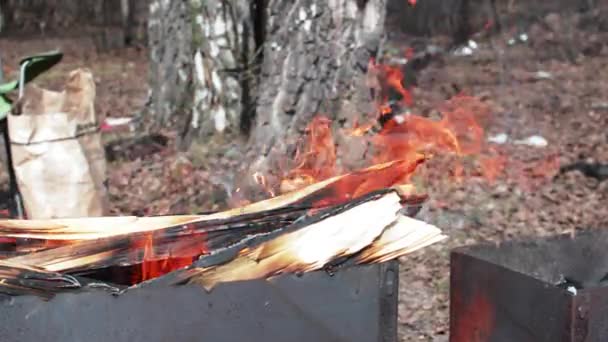 Madera ardiendo en un brasero — Vídeos de Stock