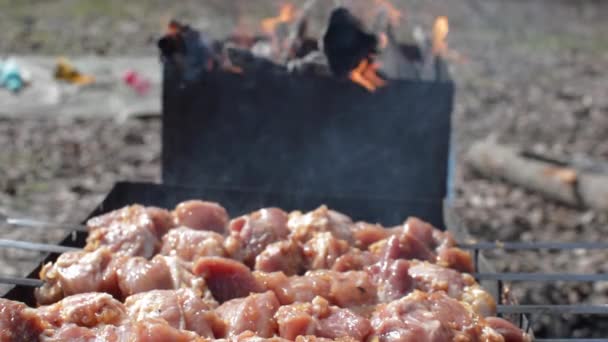 In de Grill gebakken heerlijke Kebabs — Stockvideo