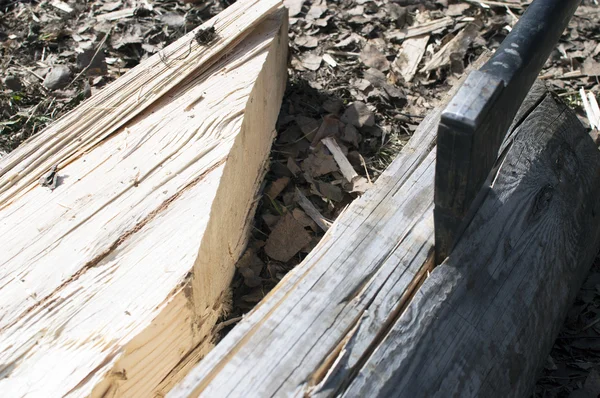 günlüğüne itme balta