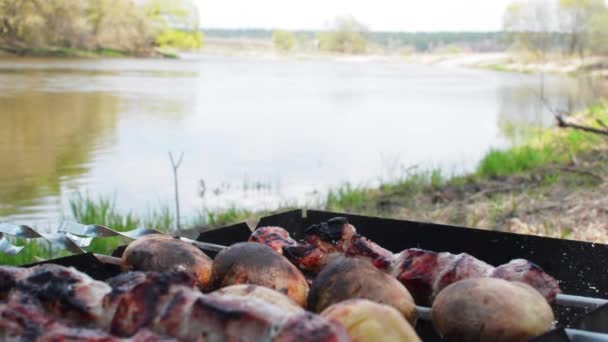 Barbecue et pommes de terre frites sur une rivière pique-nique — Video