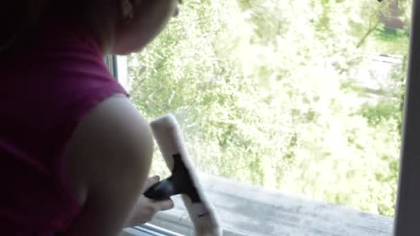 Mujer Cleans Apartamento con un paño y detergente — Vídeo de stock