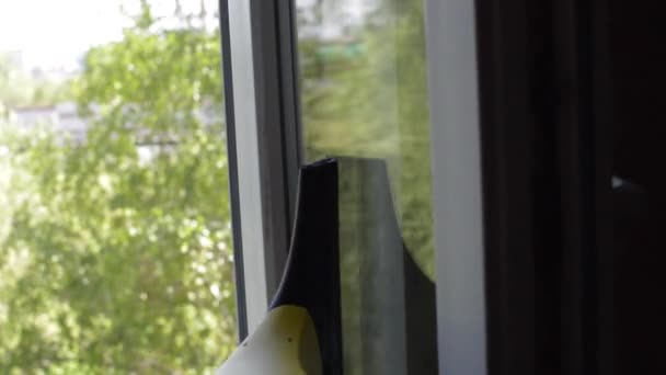 Mujer Cleans Apartamento con un paño y detergente — Vídeo de stock