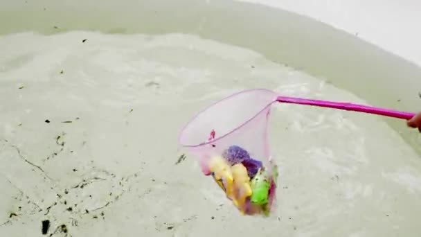 Captura de peces de juguete en la piscina — Vídeos de Stock