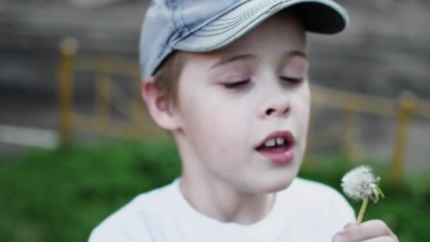 Мальчик, дующий на одуванчик — стоковое видео