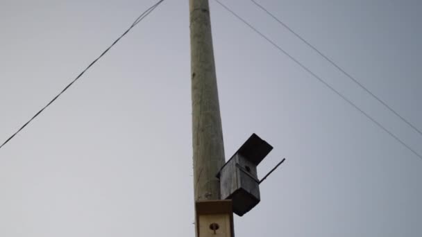 Dos cajas de anidación de aves cuelgan de una columna — Vídeos de Stock