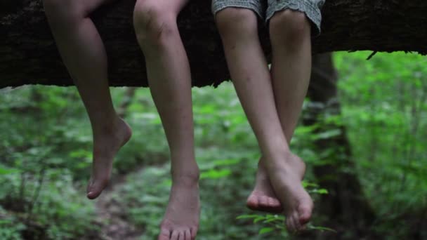 Een jongen en een meisje zitten op een boomtak. — Stockvideo