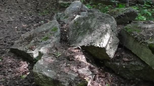 Steinplatten im Wald — Stockvideo