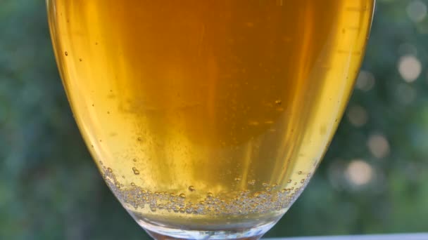 Beer With Bubbles Close up — Stock Video