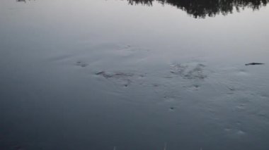 Suları ve River yansıtıcı yüzey detayları