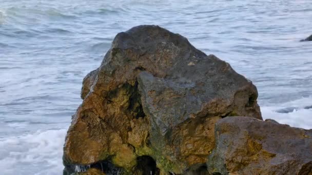 Хвилі побиття об скелі на узбережжі — стокове відео