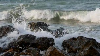 deniz kenarı buzlu karşı yenerek dalgalar