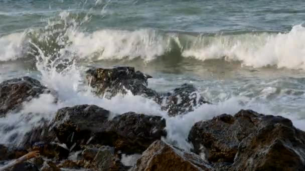 Vågorna slog mot klipporna vid kusten — Stockvideo