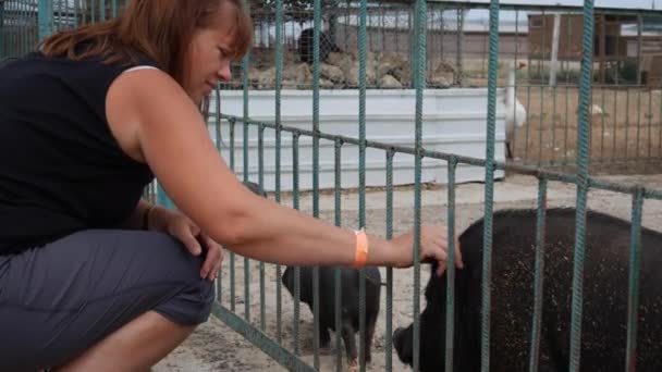 Jonge vrouw kinderboerderij varkens — Stockvideo