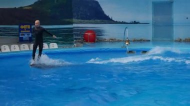 Dolphinarium yunus performans