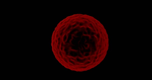 Red Molecule or Bacterium — Stock Video