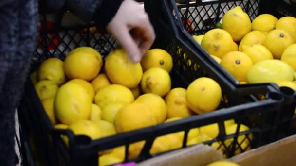 Στο κατάστημα αγοράζοντας τα λεμόνια — Αρχείο Βίντεο