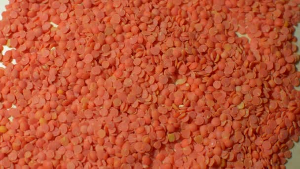 旋转的红色小扁豆 — 图库视频影像