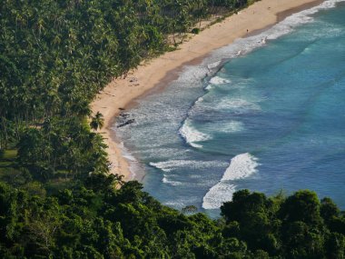 Palmiye ağaçları olan güzel tropik plaj Palawan, El Nido, Filipinler