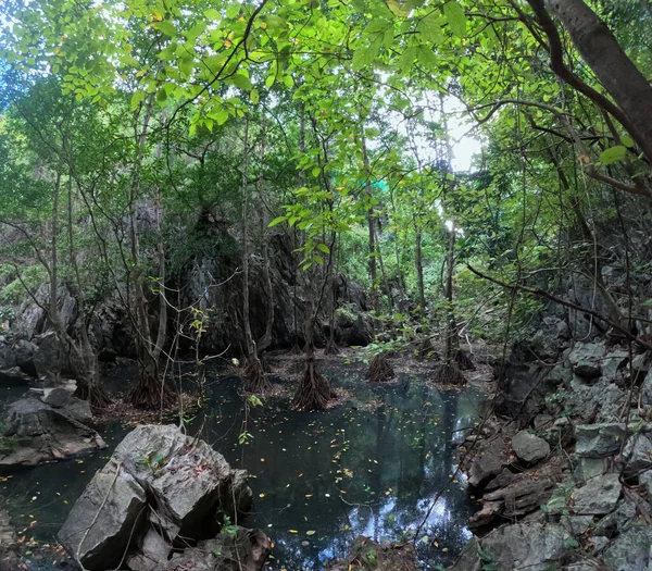 Palawan, El Nido, Filipinler 'deki tropik manzara