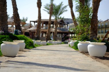 Palmiye ağaçları ve seramik tencere ile yürüme yolu