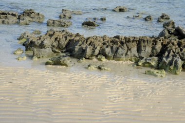Kumlu plajda denizin dalga yumuşak