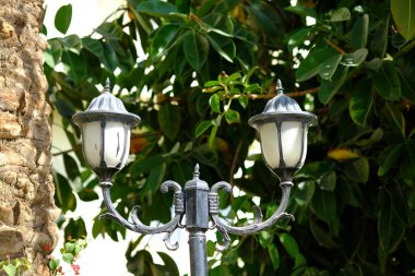 Parkta eski sokak lambasıyla klasik bir resim.