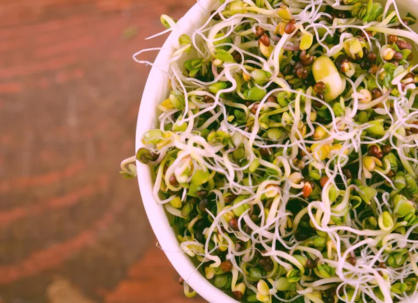 Mikrogreens berbagai macam dalam cangkir kertas. Salad Hijau Sehat dengan kecambah mentah segar — Stok Foto