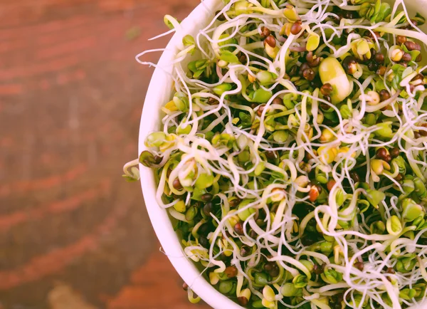 Microgreens sortiment i papper kopp. Friskt Grönblandsallad med färska råa groddar — Stockfoto