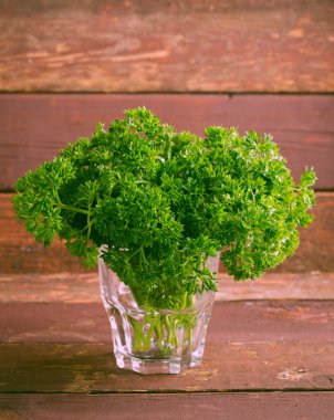 Bir bardak taze organik yeşil kıvırcık maydanoz